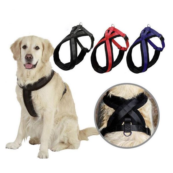 

dog collars & leashes 2021 large harness vest arrival pet products 3 colors comfortable thick nylon professional chest straps