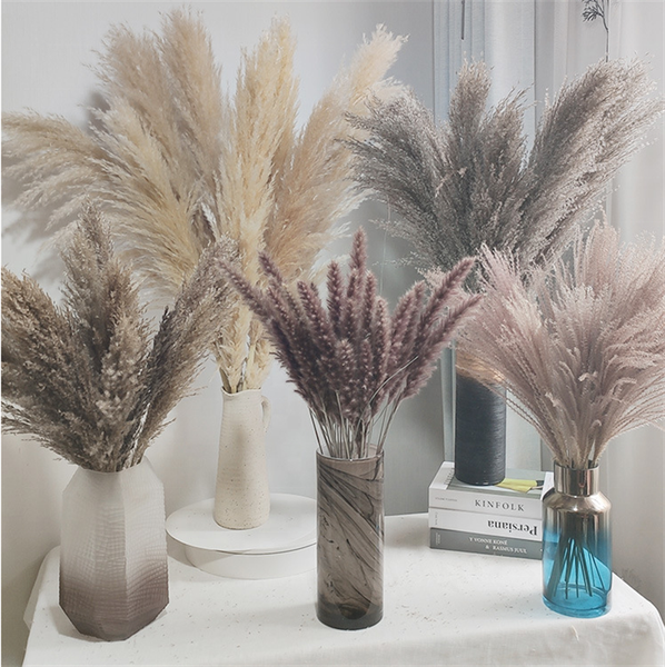 

120pcs dekoration white pampas grass plants home wedding decor dried flowers bunch feather natural phragmites decoration blumen