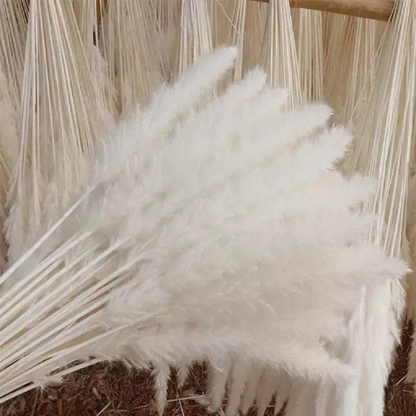 

decorative flowers & wreaths dried flower living room bedroom wedding decoration home decor pampas grass tail wheat ear eucalyptus ku