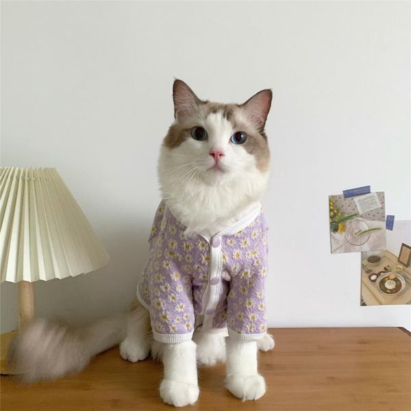 

cat costumes pet dog clothes winter jackets suit warm fleece vest velet small motorcycle waistcoat coat clothing coats