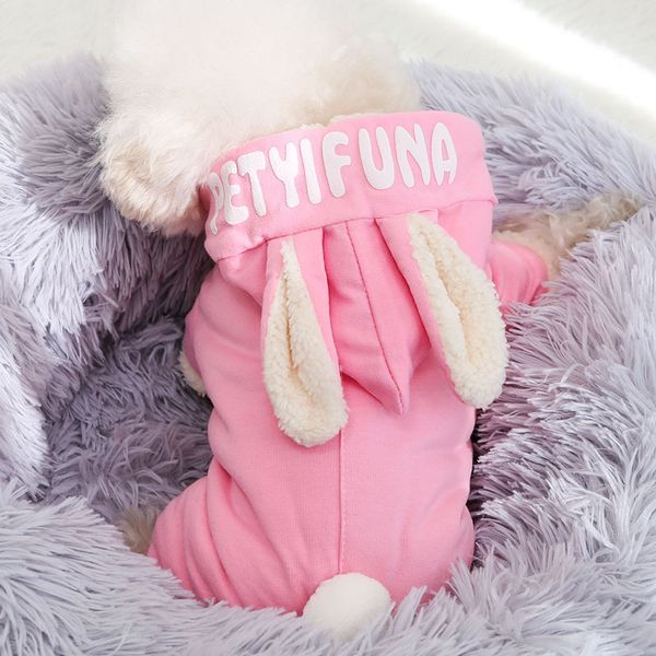 

winter dog cloth teddy bear autumn cute rabbit four legged pet warm thickened