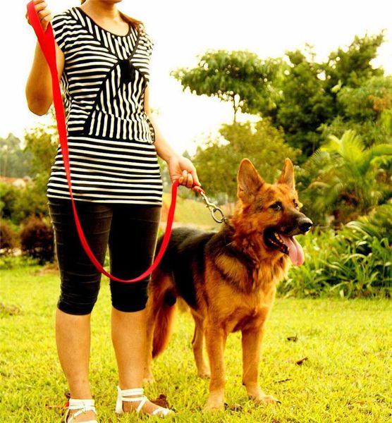 

e44 thick solid nylon pet dog collar and leashes set new arrival