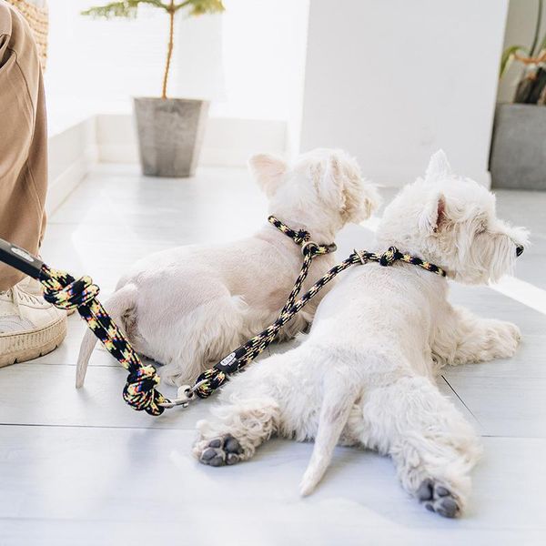 

dog collars & leashes multi-function walk 2 two dogs leash reflective couple double twin lead walking