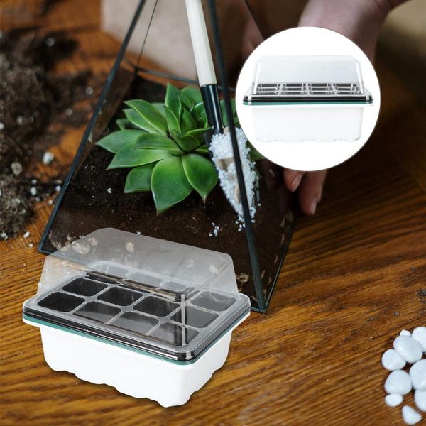 

planters & pots 3pcs garden sprouter tray planting germination with lid