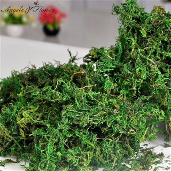 

decorative flowers & wreaths 100g/bag real green moss plants keep dry vase artificial turf silk flower accessories for pot decoration