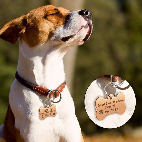 

stainless steel custom pet dog id tags personalized bone id tag engraved for dogs cats anti-lost name id tag collar acc qylzzz