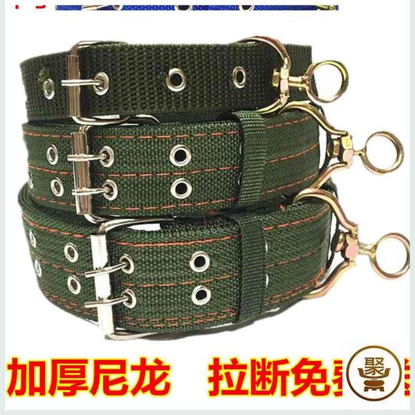 

leash pet dog tag lose proof cat small and medium dog collar tucx