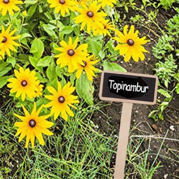 

20pcs bamboo plant label environmentally friendly t-shaped wood sign used for gardening of seeds potted herbs flowers garden decorations