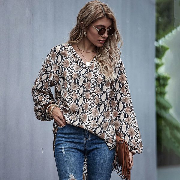

autumn winter leopard casual blouse women 2021 new full sleeve v-neck knitted shirt 9g5s, White