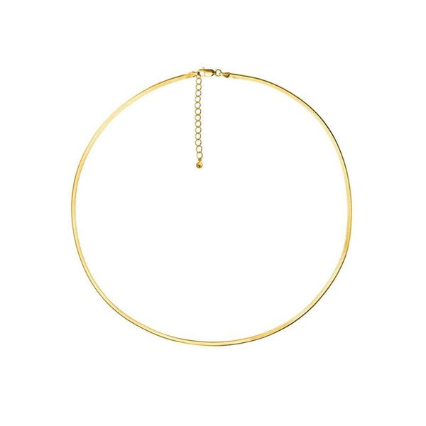 

chains fashion stainless steel simple snake choker neckalce personlity short clavicle necklace for women jewelry, Silver