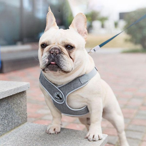 

dog collars & leashes reflective harness pet chest strap cat leash adjustable training breathable vest walking puppy suppliers