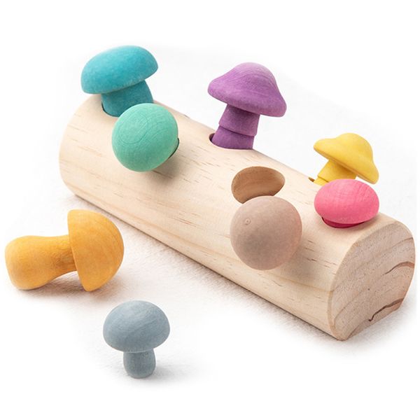 

Montessori Educational Wooden Baby Toys Wooden Rainbow Blocks Mushroom Picking Game Developmental Shape Toys for children