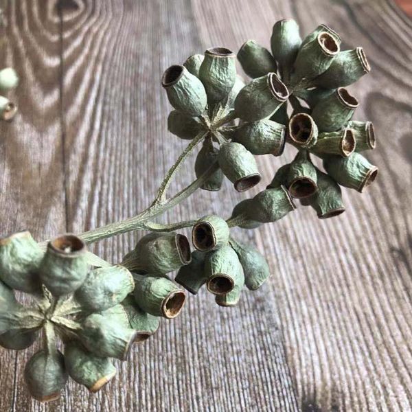 

decorative flowers & wreaths 50g/25~45cm natural dried zombie fruits dry eucalyptus bouquet for immortal flower diy material