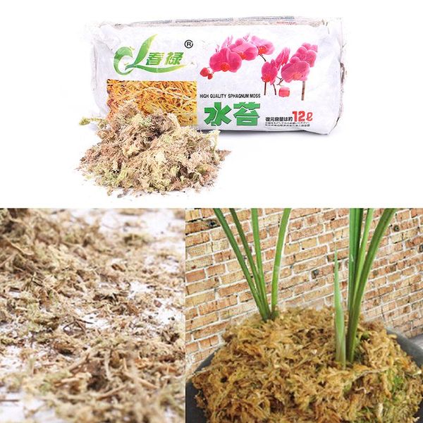 

12l sphagnum moss moisturizing nutrition organic fertilizer for phalaenopsis orchid garden supplies