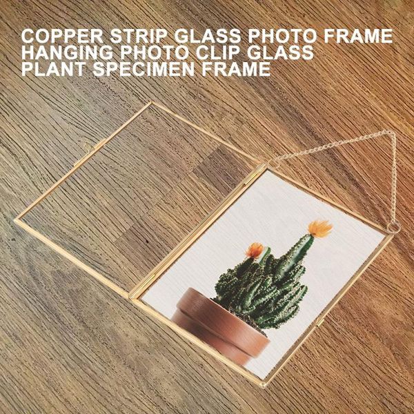 

frames retro gold metal po frame acrylic glass transparent plant specimen clip decor for picture wall