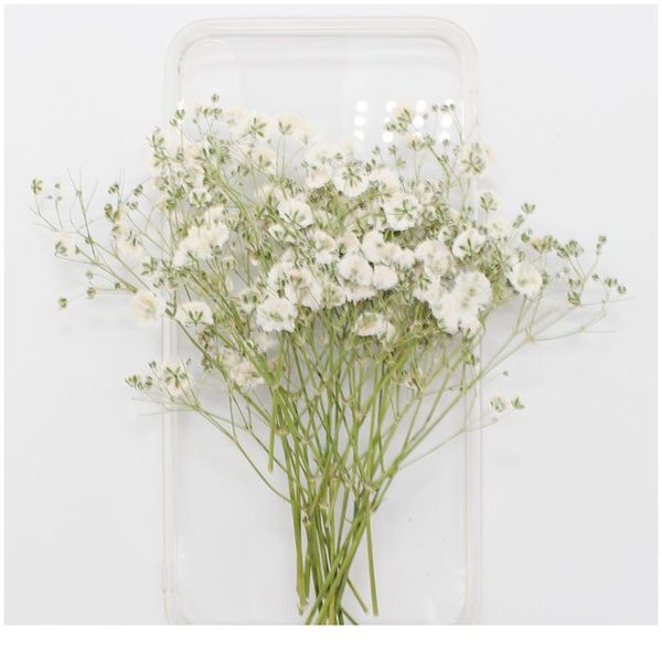 

natural dried flowers embossing botany specimen diy glue hand shell aromatherapy candle p frame activity material qylkjz