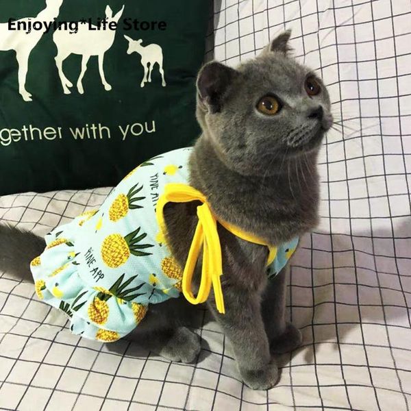 

cat costumes cute vest skirt summer pet clothes for cats banana pineapple dress dog couples stephen mascotas costume