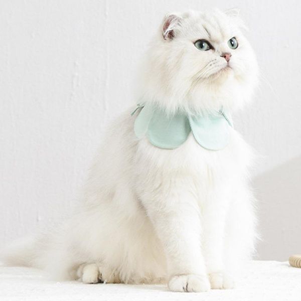 

cat costumes cute petal bib pet saliva towel dog bandana clothing accessories green l