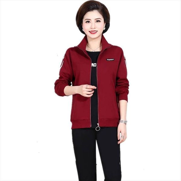 

european fashion clothes set 2 womenpant piece large size sporting suit female knitted autumn women clothing factory outlet 1636, White