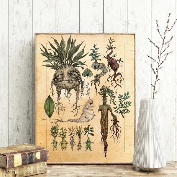 

unframed modern home wall decor painting retro ginseng plant print poster