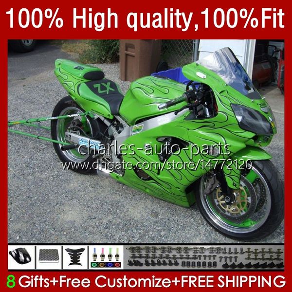 Einspritzkörper für KAWASAKI NINJA ZX1200 ZX 12R 1200CC 1200 CC 02 03 04 05 06 3No.44 grüne Flammen ZX 12 R ZX1200C ZX12R 02-06 ZX-12R 2002 2003 2004 2005 2006 OEM-Verkleidungsset