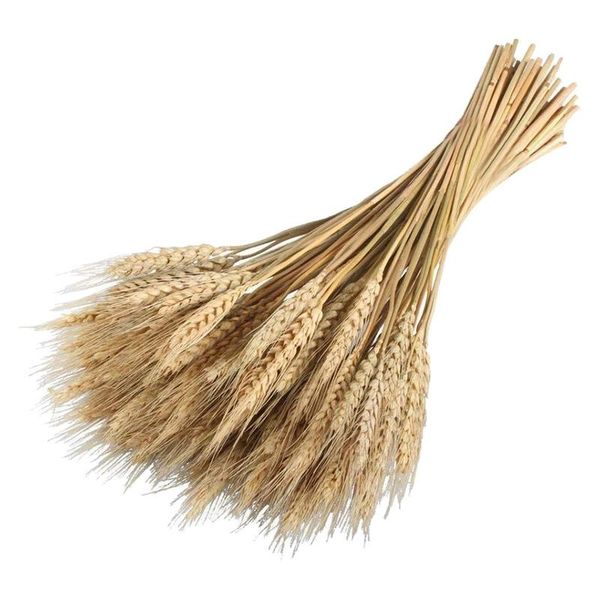 

decorative flowers & wreaths natural dried wheat ears bouquet wedding party decoration diy craft home decor pography props,100 pcs