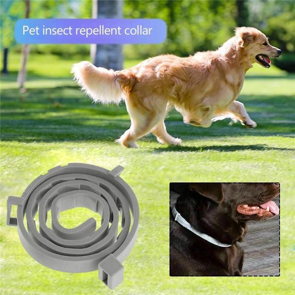 

dog collars & leashes 38/62cm cat collar flea tick anti-mosquito and insect repellent removes dogs cats up to 8 month
