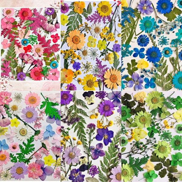 

decorative flowers & wreaths 1set 30pcs mixed pressed dried leaves flower herbarium for bookmark prop jewelry face make up invitation card p