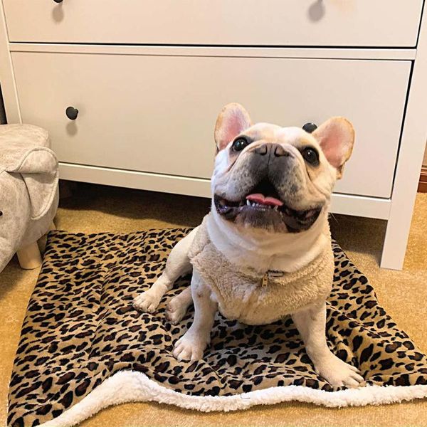 

kennels & pens warm flannel dog mat washable large bed fleece pet blanket puppy cat cushion soft and breathable sofa supplies
