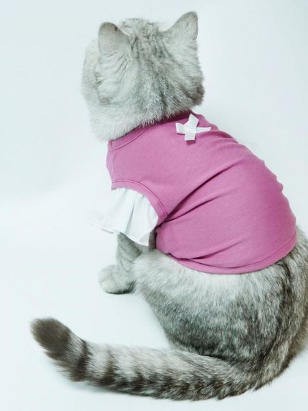 

cat costumes pet clothes sports casual vest puppy clothing summer cool kitten t-shirt apparel