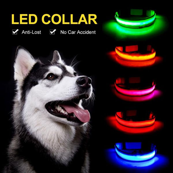 

dog collars & leashes led pet nylon collar night safety flashing glow in the dark leash dogs luminous fluorescent perro