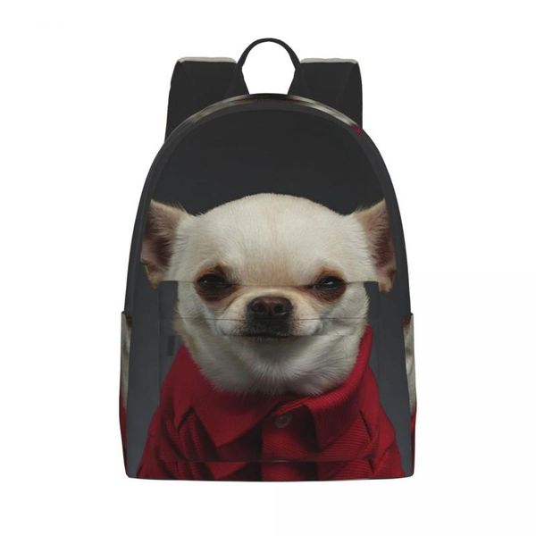 

backpack chihuahua dog in stylish clothes girl boy computer man woman