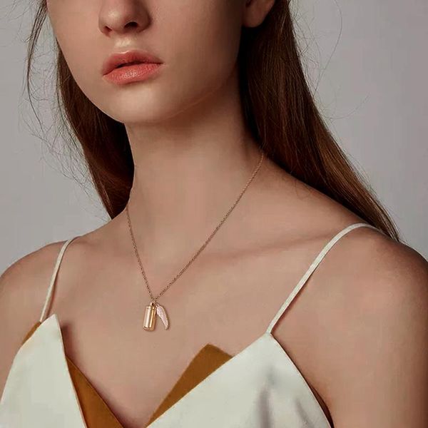 

pendant necklaces angel wing cylinder cremation urn necklace for women ashes stainless steel human and pets loss jewelry, Silver