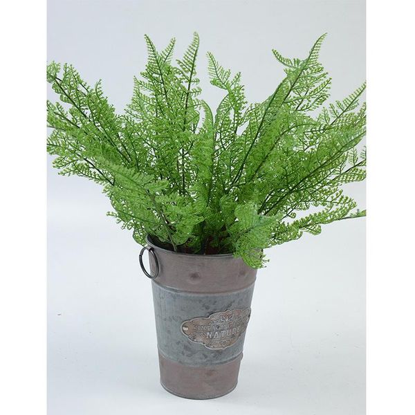 

northern european-style modern home persian grass fern living room decoration
