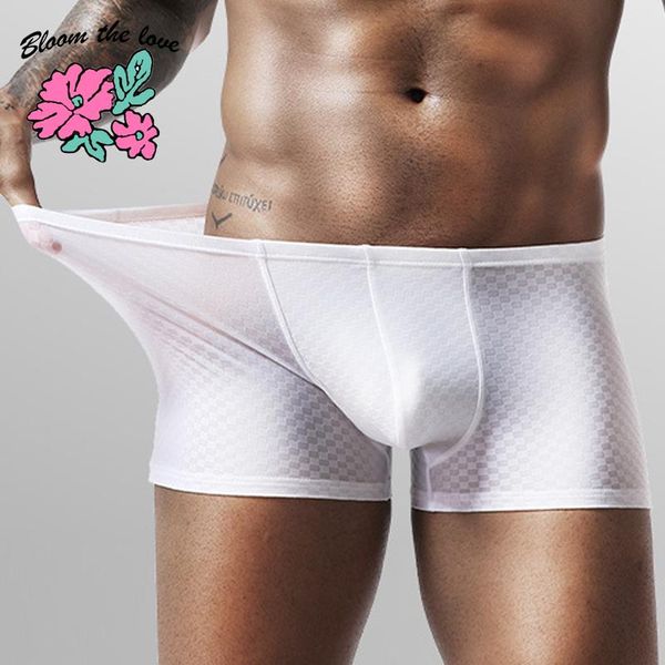 

underpants [bloom the love] brand boxer men underwear mesh silk mens boxers panties cuecas masculina man underpant boxershorts size l-3xl, Black;white