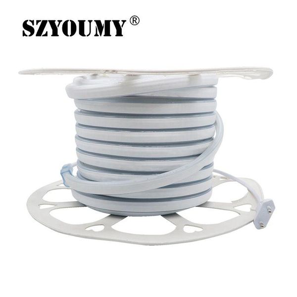 

strips 100m 220v 12v led smd 2835 rope light ip67 flex neon strip lights outdoor lighting string disco christmas party