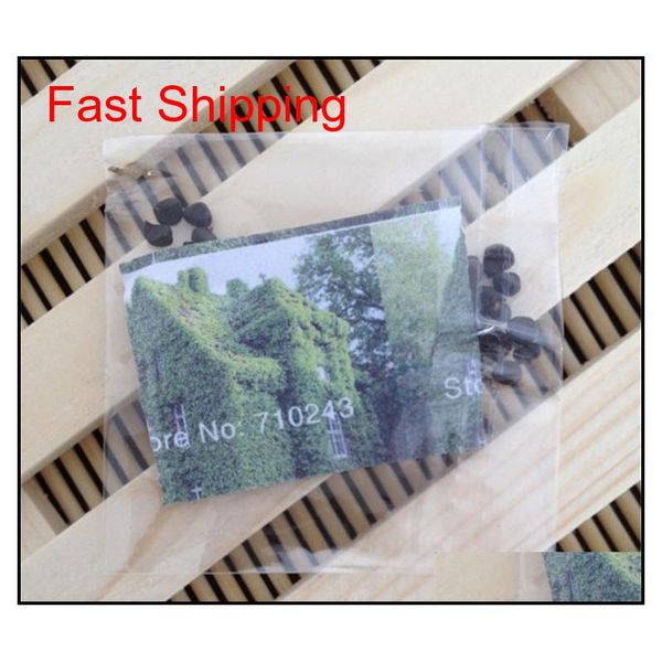 

boston ivy climbing foliage plants 3 leaf brocade flower seeds the four seasons information easy to kind of 1 jlljes xhhair