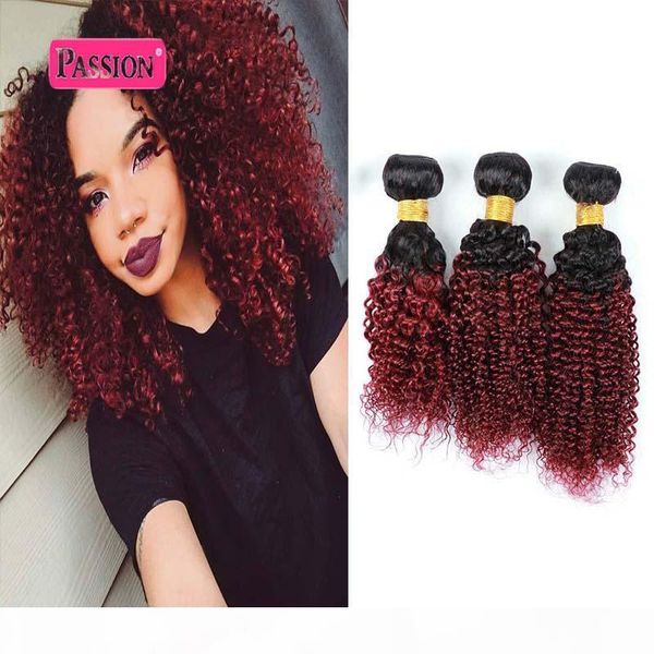 

3 bundles burgundy brazilian ombre hair extensions two tone red ombre kinky curly brazilian unprocessed virgin human hair, Black