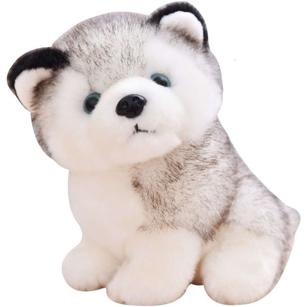 

small cute simulation husky plush toy dog erha doll girl gift kaws fidget toys