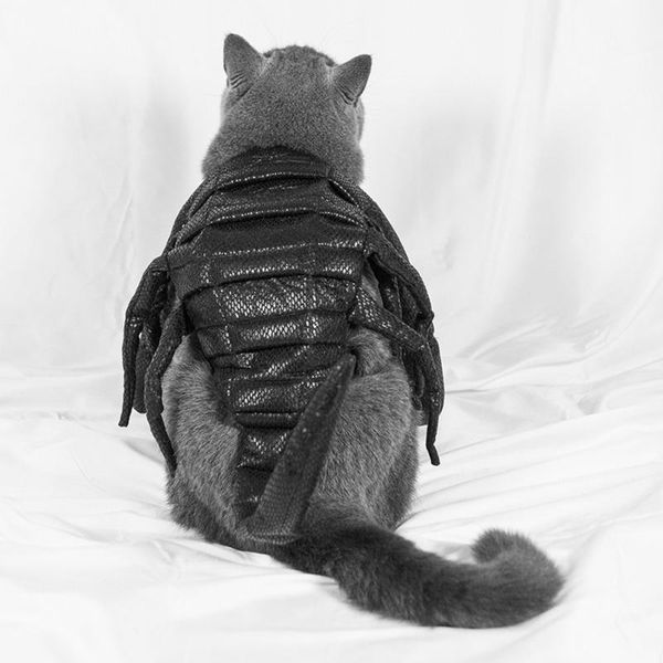 

cat costumes funny pet dog clothes cosplay costume scorpion design party halloween create a festive atmosphere products