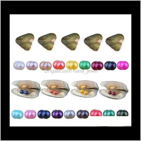 

wholesale twins pearl oyster 2018 new round 6-7mm 27colors freshwater natural cultured in fresh oyster pearl mussel farm supply gift n enzuf, White