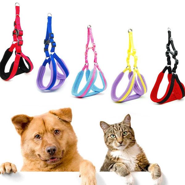 

small dog cat harness leash adjustable vest collar puppy outdoor walking chihuahua terier schnauzer