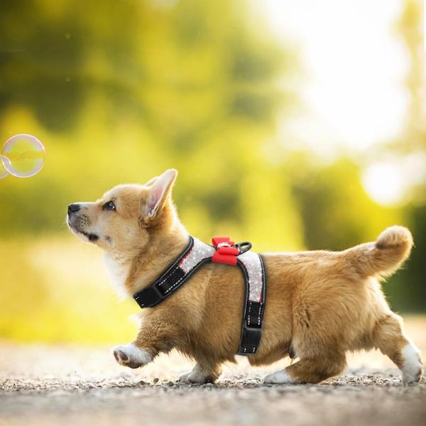 

dog collars & leashes reflective pet harness vest cat leash nylon bling rhinestone bowknot small medium accessories supplies d35