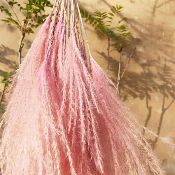 

decorative flowers & wreaths limited direct selling no 25pcs wedding decor flower pink pampas grass natural dry homestay bunch prop