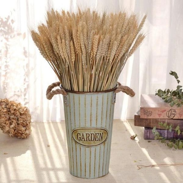 

decorative flowers & wreaths 50pcs/lot wheat autumn decoration pampas grass craft dried for wedding
