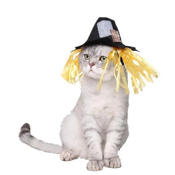 

cat costumes puppy dog cats hat party dress up cap costume headwear caps for halloween pet tools hats