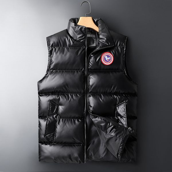 

new down vest in winter, Black;white