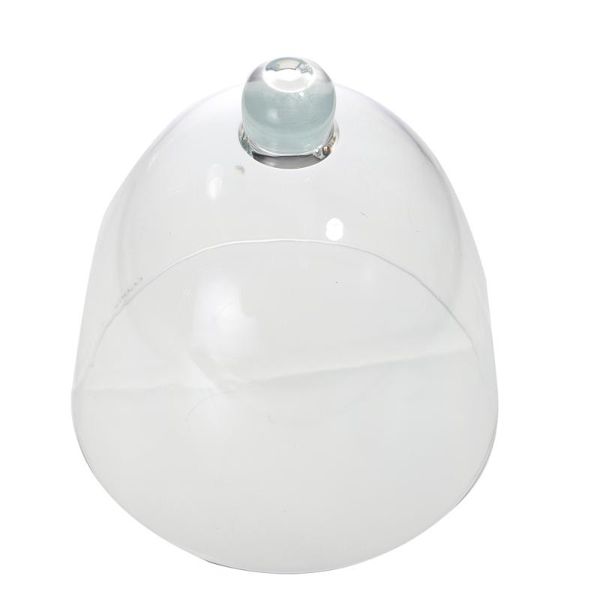 

clothing & wardrobe storage 1pc cake food cover snack display (transparent )