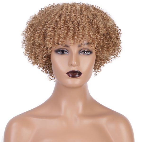 

wig women's short curly hair small fluffy fiber high temperature silk head cover, Black