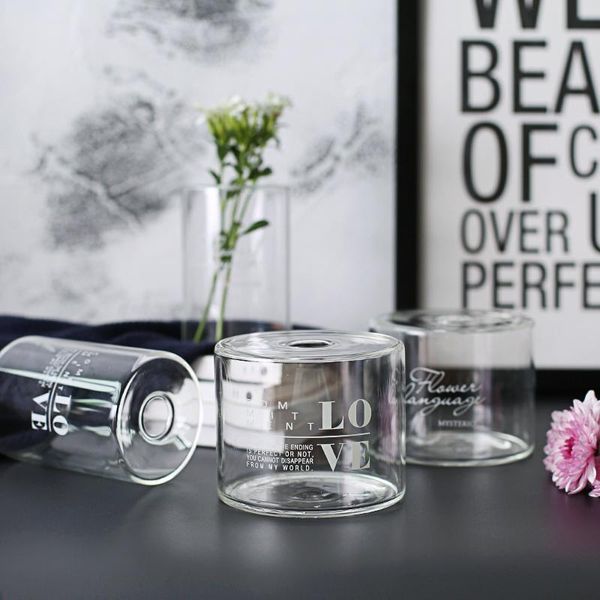 

vases simple english transparent glass vase insert decoration home plant